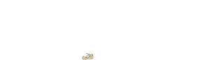 TOTO1000